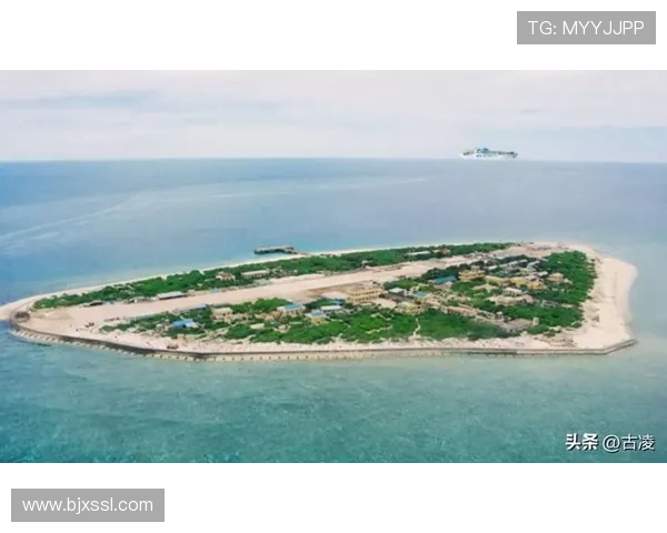 日本足球之光：探索日本最强足球明星的辉煌历程与成就