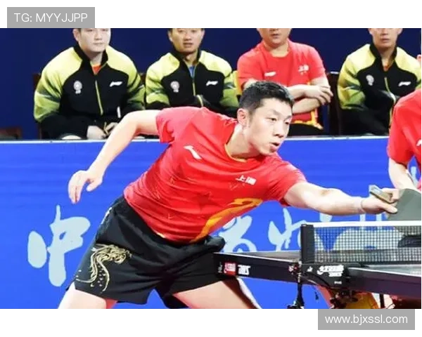 乒乓球力量榜单揭晓成都乒乓球队强势夺得第二名荣耀